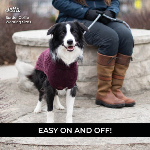 Shedrow K9 Brentwood Cable Knit Dog Sweater Plus M Wine Tasting - Poudre Pet & Feed Supply 4